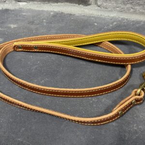 Leather Puppy Leash