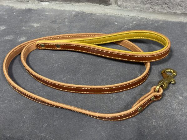 Puppy Leash