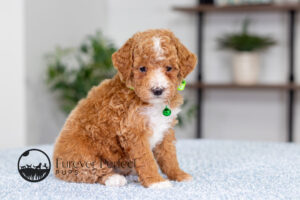Lacie photo 2