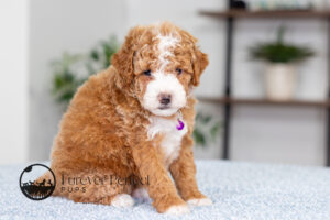Lisa photo 3