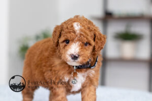 Loren photo 4