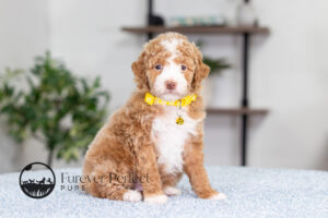 Lucy photo 3