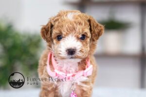 Gabby photo 4