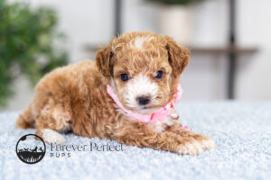 Gabby photo 1