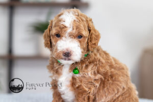 Nell photo 2