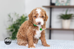 Nell photo 5