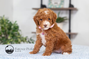 Natalie photo 3