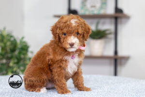 Natalie photo 2